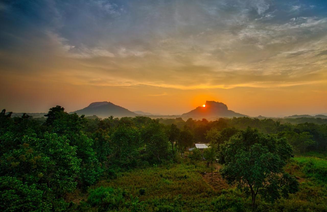 Choona Lodge 'View Of Sigiriya & Pidurangala With Sunrise' Exteriér fotografie
